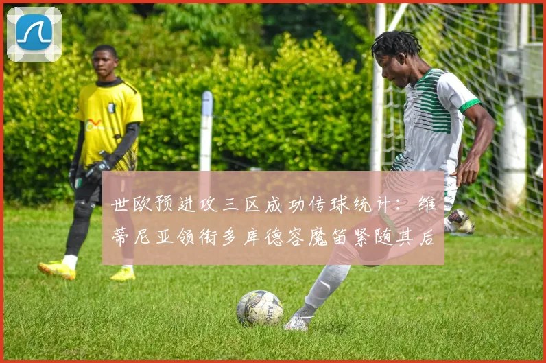 世欧预进攻三区成功传球统计：维蒂尼亚领衔多库德容魔笛紧随其后