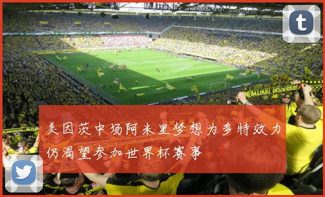 美因茨中场阿米里梦想为多特效力仍渴望参加世界杯赛事